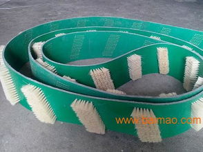 安徽皮帶毛刷產業與空氣凈化器應用 供應、加盟與生產廠家全解析